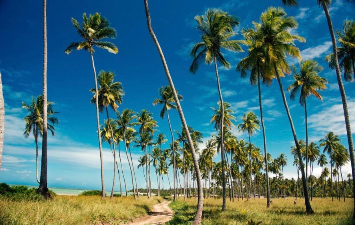 Pousada Divino Milagre Passo de Camarajibe Exterior foto